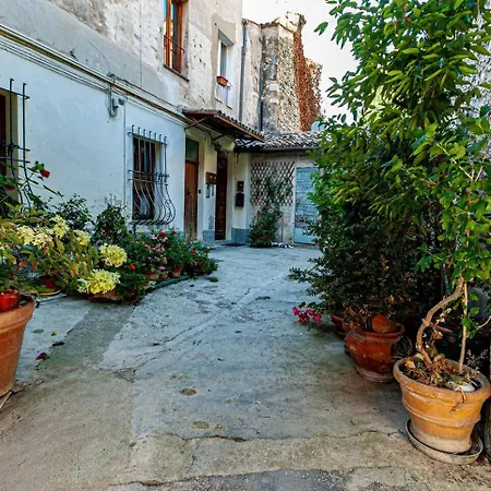 Artist's Nyaraló Spoleto